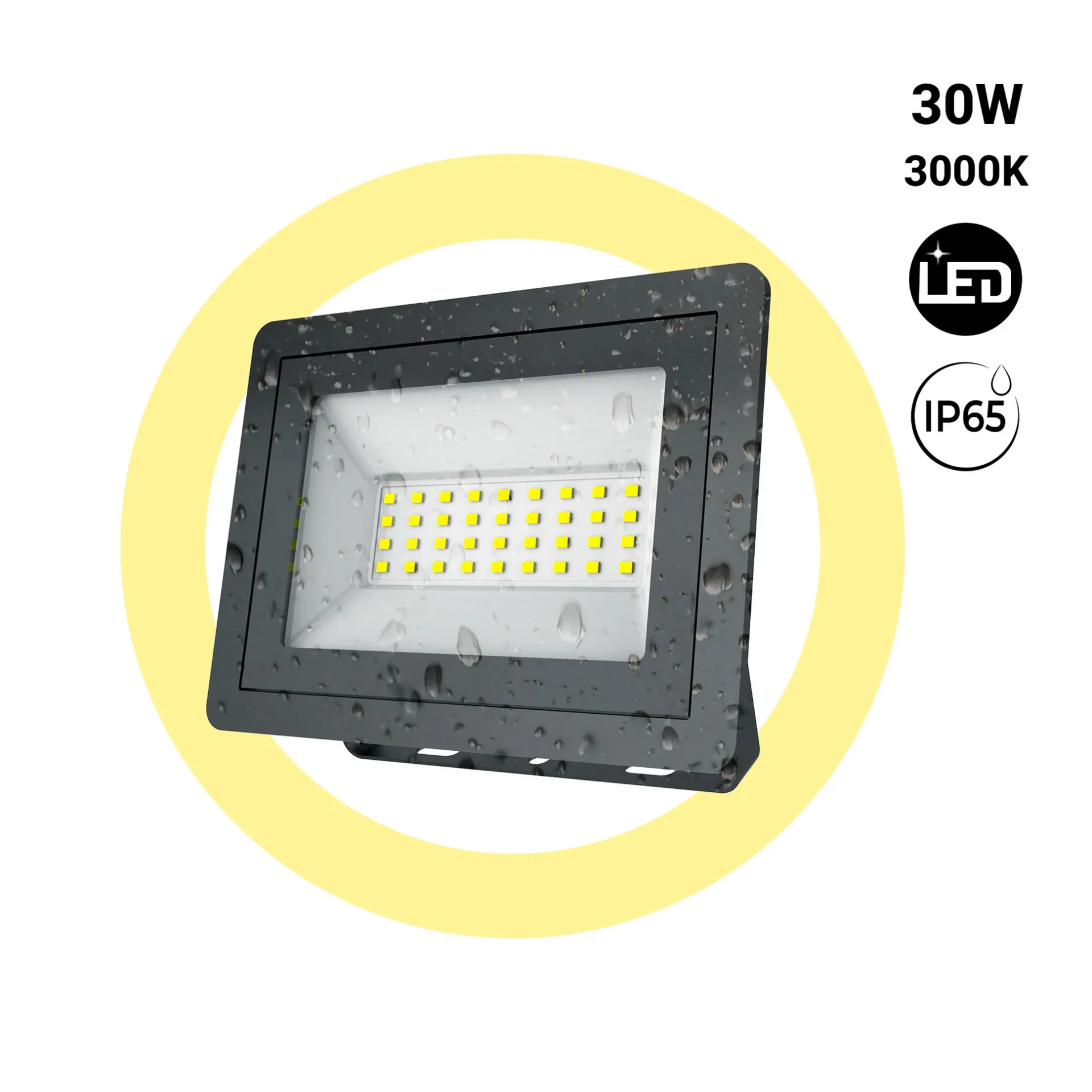 BFLE-30W-N-BC-PORTADA