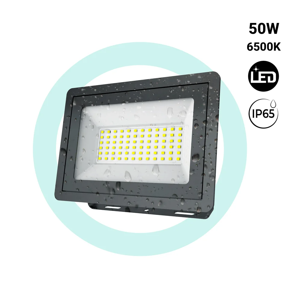 BFLE-50W-N-BF-PORTADA